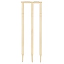 Powerplay 2020 Deluxe Size 5 Cricket Set