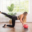 Yoga-Mad Exer-Soft Ball