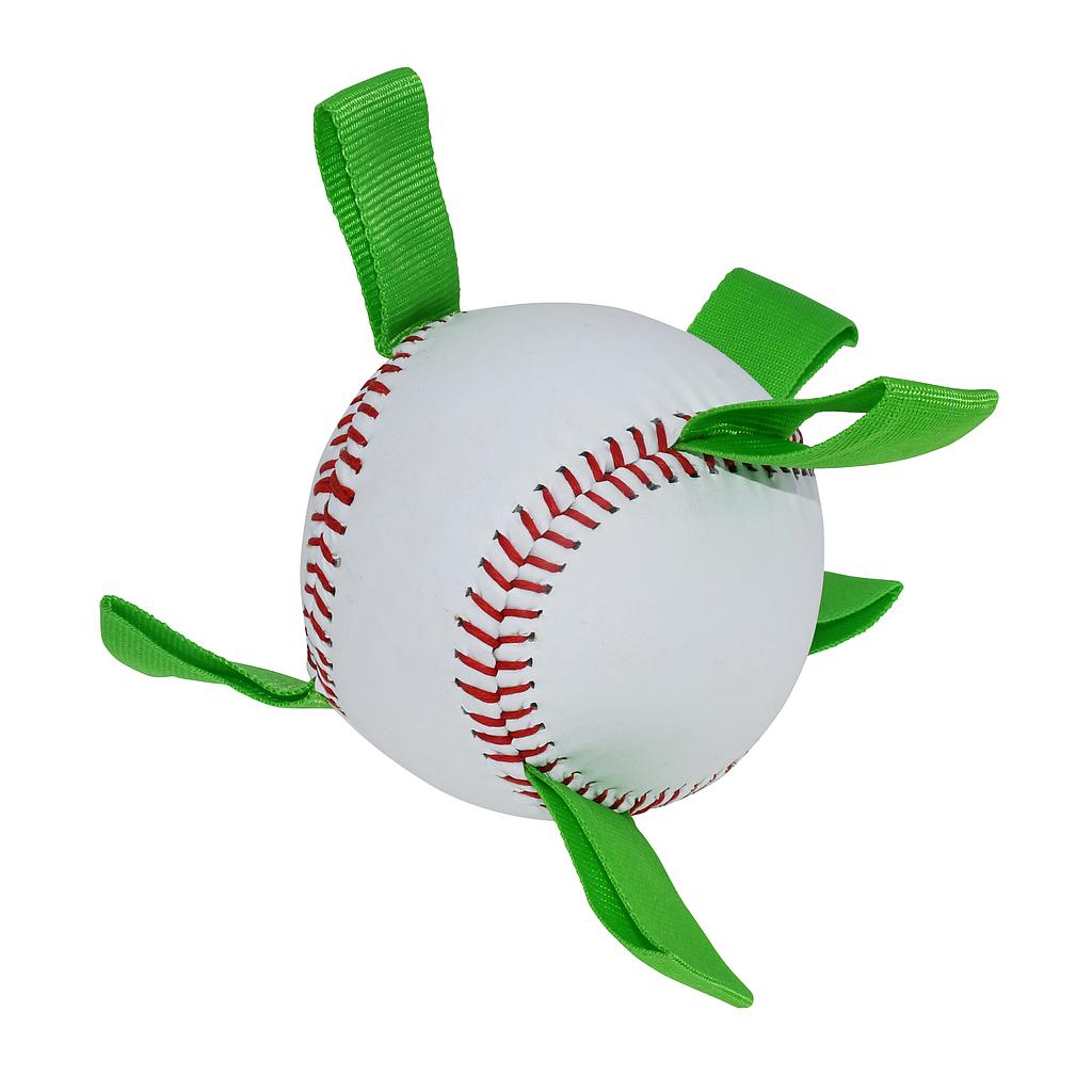 Gioco Baseball Dog Ball