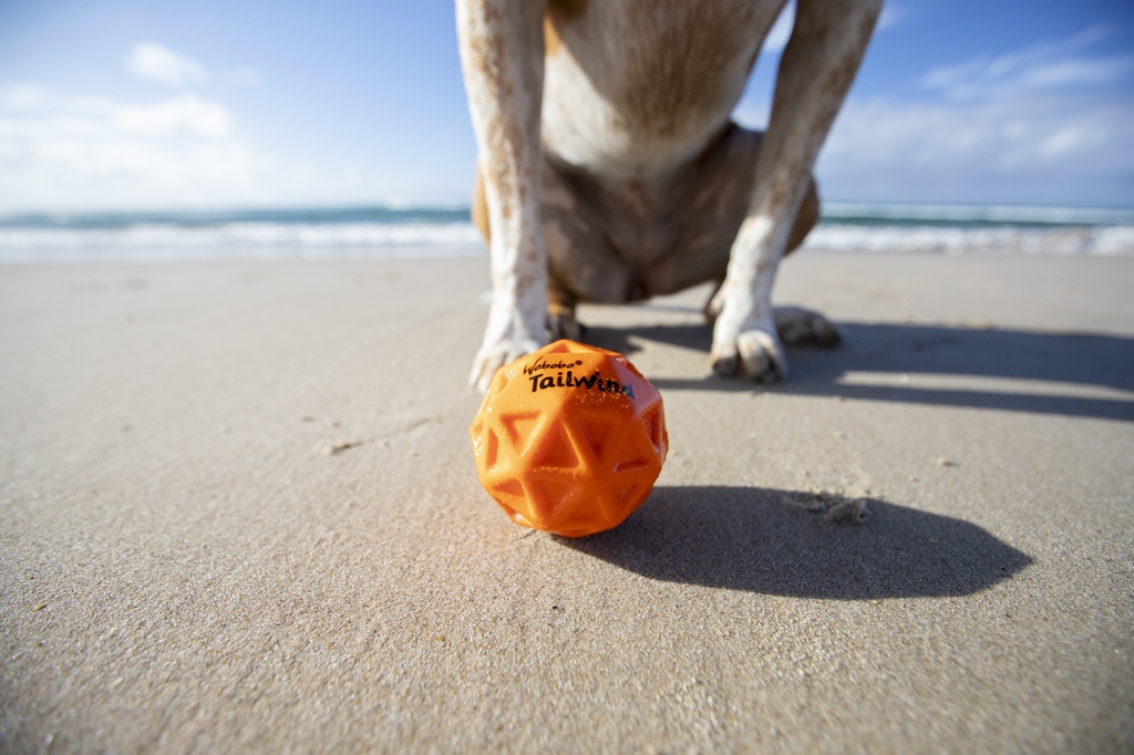 Waboba Tailwind Dog Ball