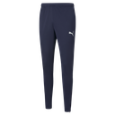 Puma teamRISE Training Pant