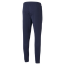 Puma teamRISE Training Pant