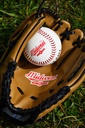 Midwest Baseball Glove & Ball