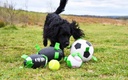 Gioco American football Dog Ball