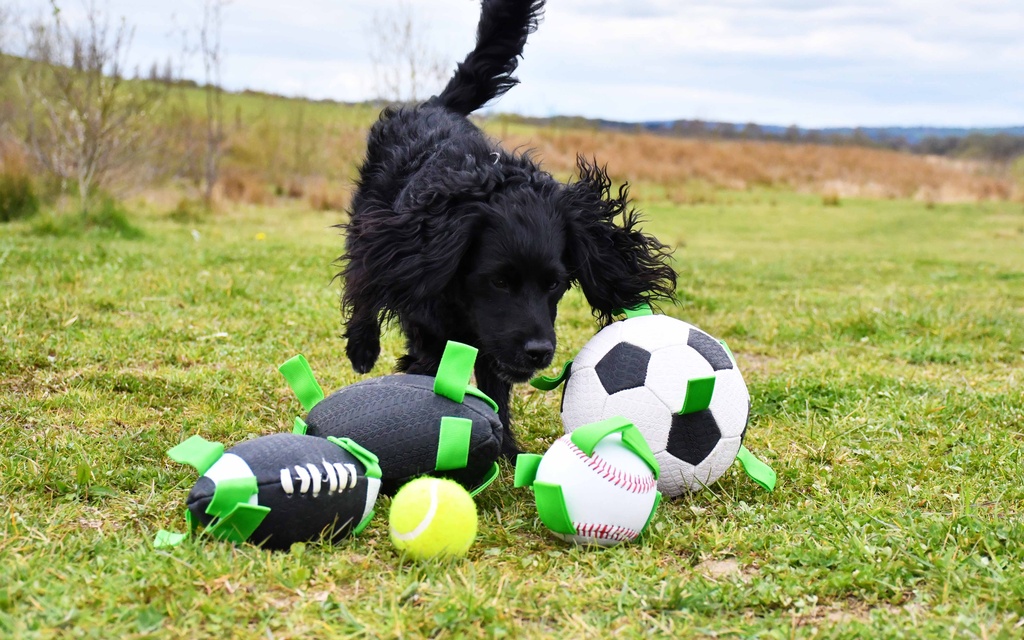 Gioco Baseball Dog Ball