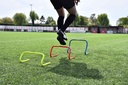 Precision Agility Hurdle