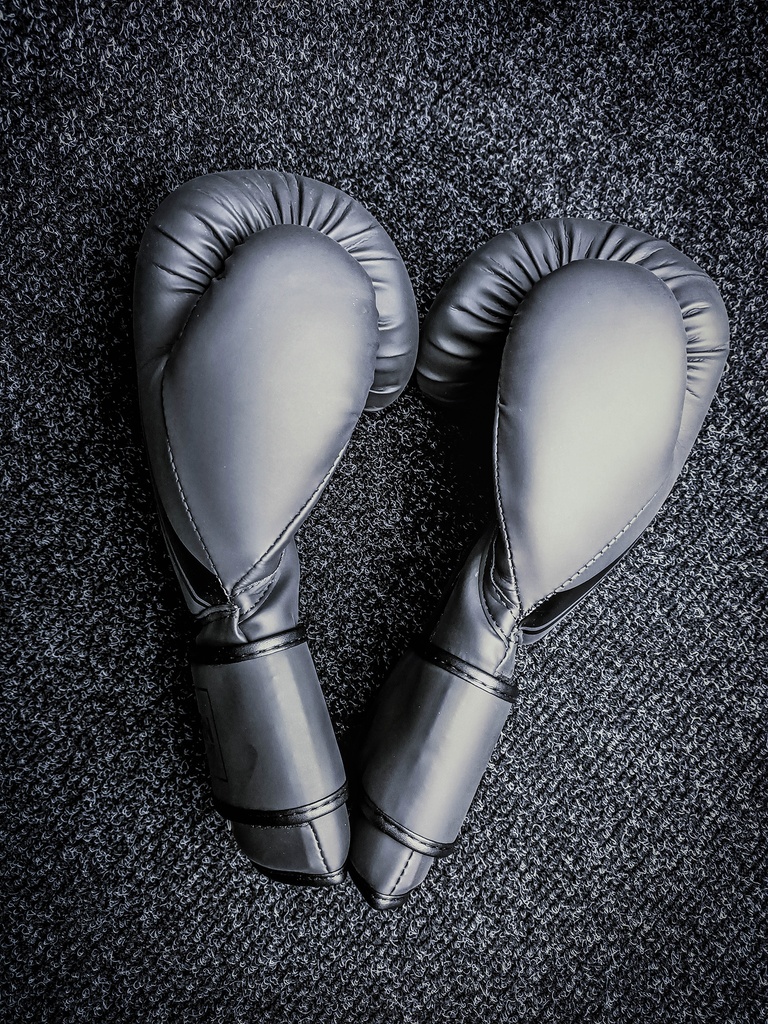 Urban Fight Training Boxing Gloves