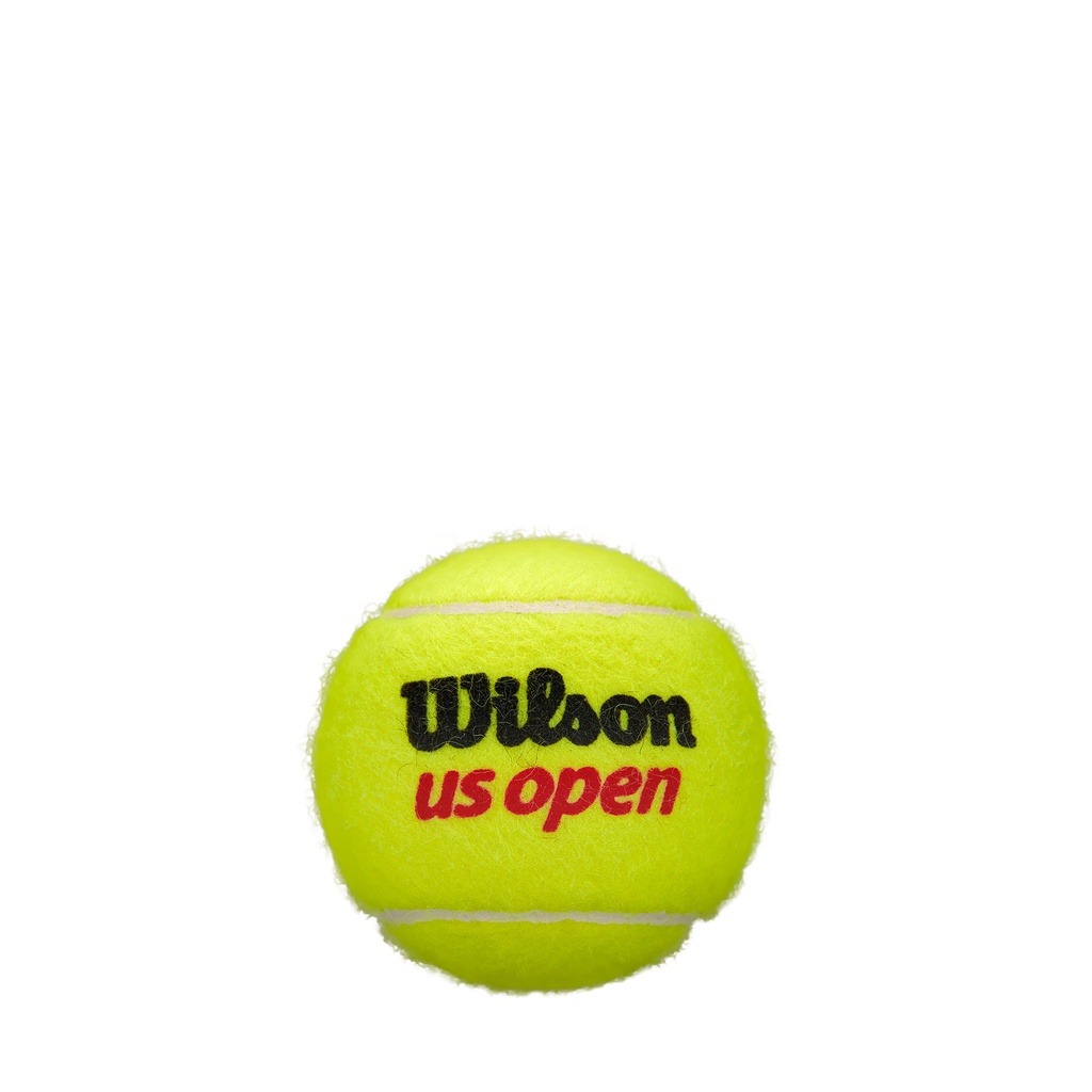 Wilson US Open 4 Ball Can