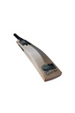 GM Aion 606 English Willow Cricket Bat