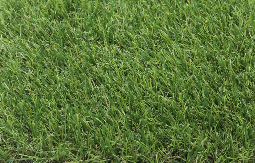 SAC SUPEREAL Artificial Turf 3.98M (per M)