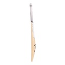 Kookaburra Ghost 8.0 Cricket Bat