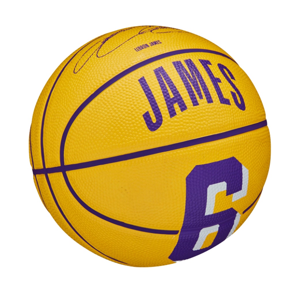 Wilson NBA Player Icon LeBron Basketball