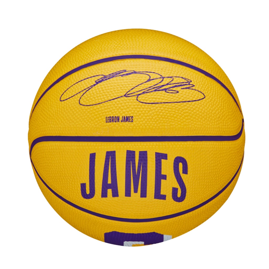 Wilson NBA Player Icon LeBron Basketball