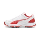 Puma 24.2 Spike Cricket Shoes