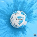 Precision Rotario FIFA Quality Match Football 2024