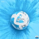 Precision Rotario FIFA Quality Match Football 2024