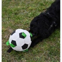 Gioco Soccer Dog Ball