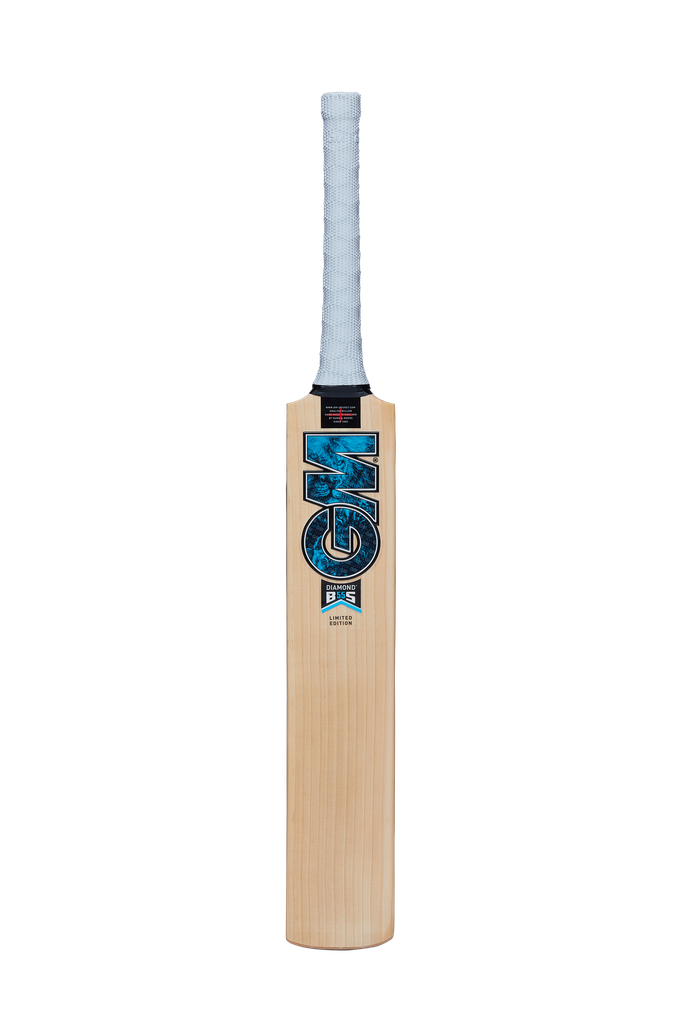 GM Diamond 202 Kashmir Willow Cricket Bat