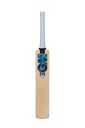 GM Diamond 202 Kashmir Willow Cricket Bat