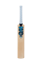 GM Diamond 202 Kashmir Willow Cricket Bat