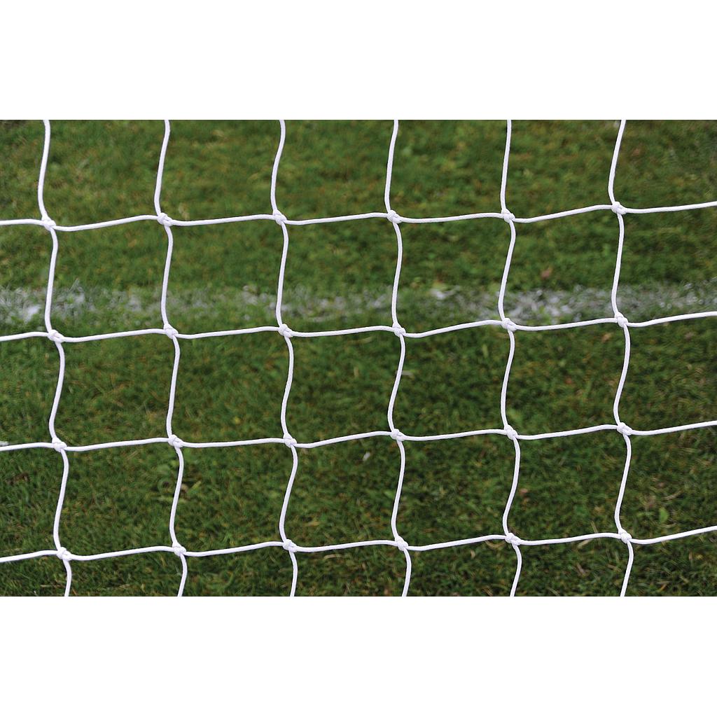 Precision Goal Net