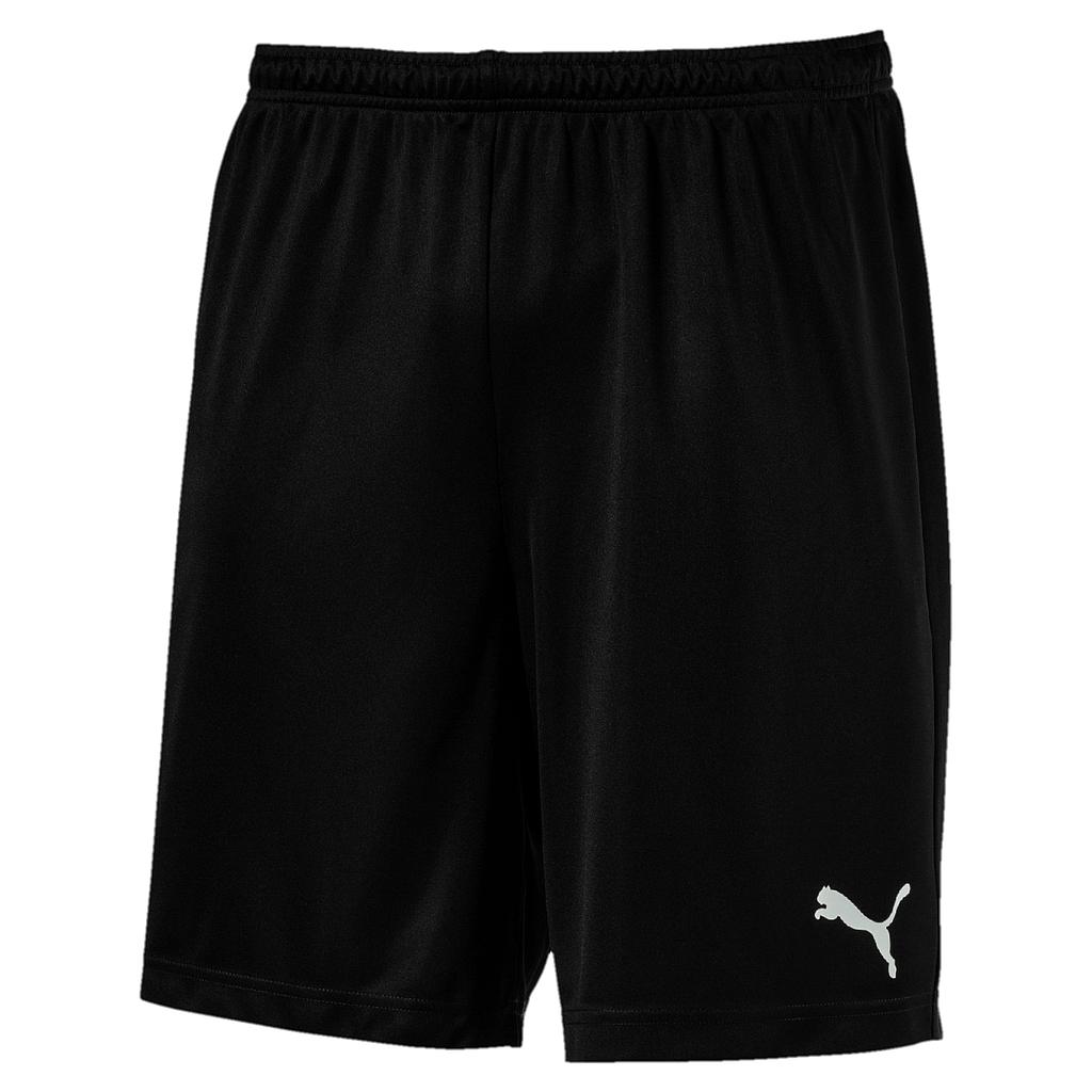 Puma ftblPLAY Training Short