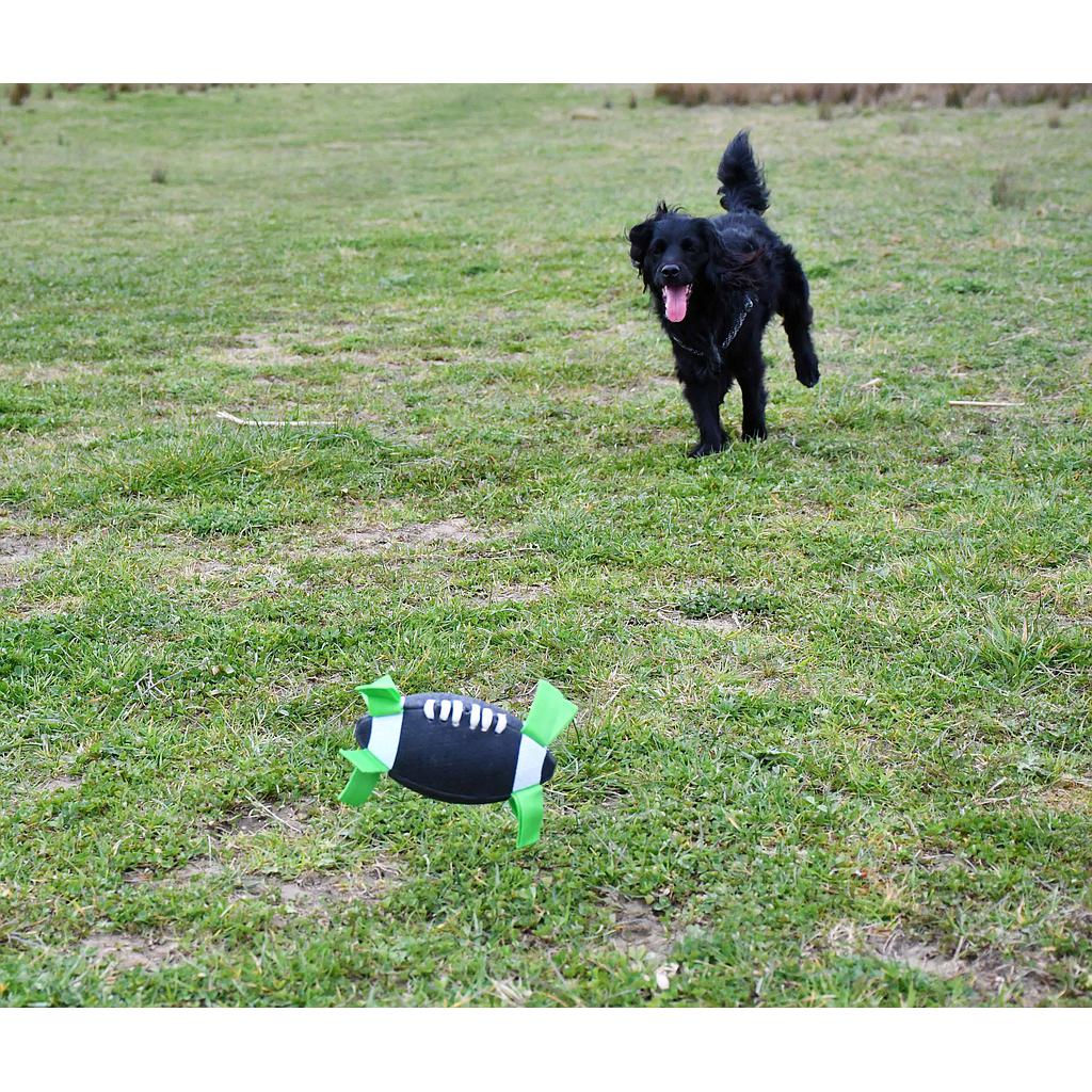 Gioco American football Dog Ball