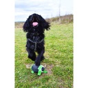 Gioco Rugby Dog Ball