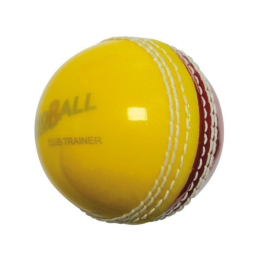 aero Trainer Cricket Ball